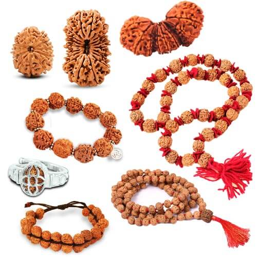 Rudraksha