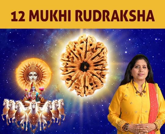 10 Mukhi Rudraksha Video