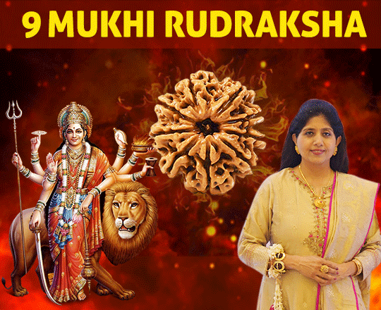 9 Mukhi Rudraksha Video