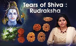 Tears of Shiva : Rudraksha Video