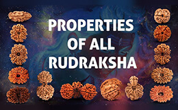 Propertiers of all rudraksha explained video